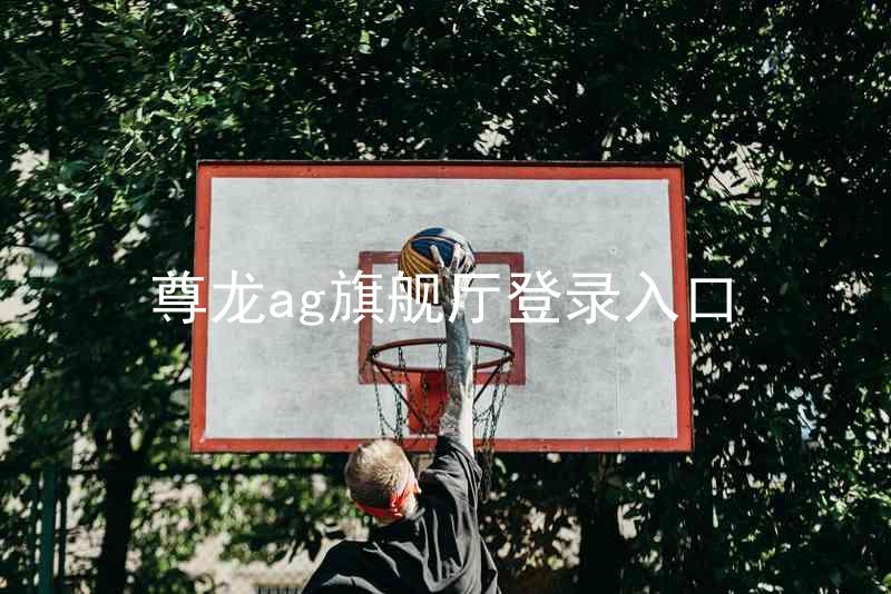 尊龙ag旗舰厅登录入口